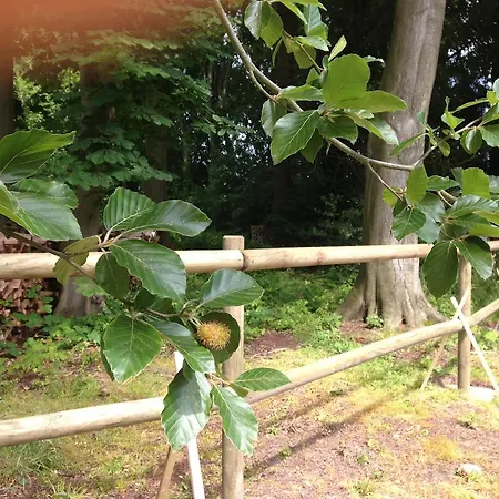 Couette-café Les Du Chateau De Grèges