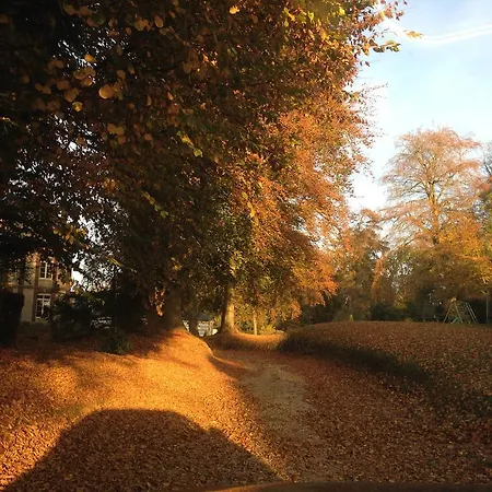Couette-café Les Du Chateau De 3*