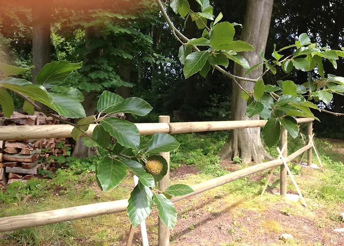 Bed & Breakfast Le Chateau De Grèges